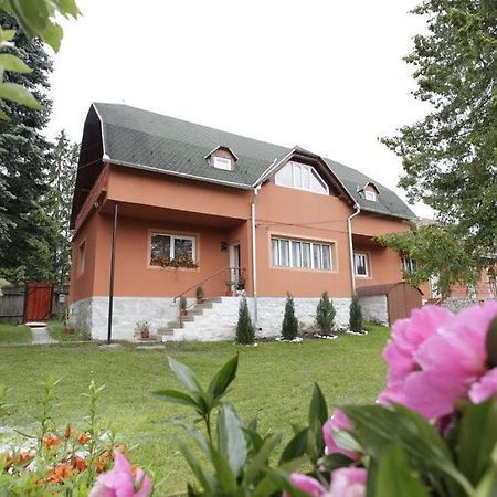 Bed and Breakfast Csermely Panzio Izvoru Mureşului Zewnętrze zdjęcie